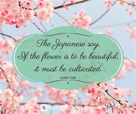 35 Beautiful Flower Quotes To Celebrate Life Hope And