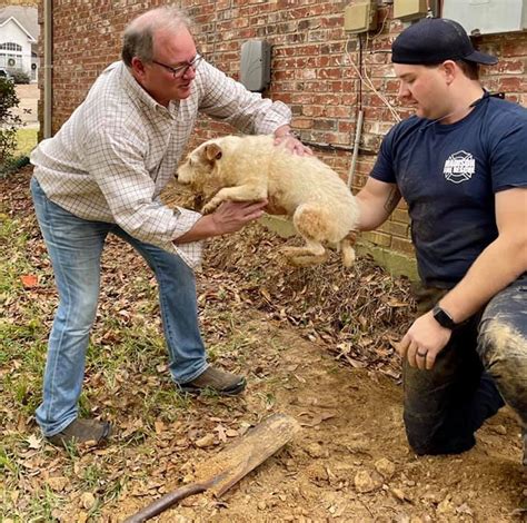 Madison firefighters rescue trapped dog