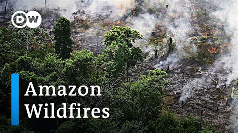 Amazon Rainforest Burning At A Record Rate Dw News Youtube