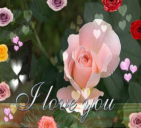 Best Of Roses For My Love Free Flowers Ecards Greeting