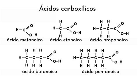Ácido carboxílico qué son nomenclatura estructura propiedades usos My