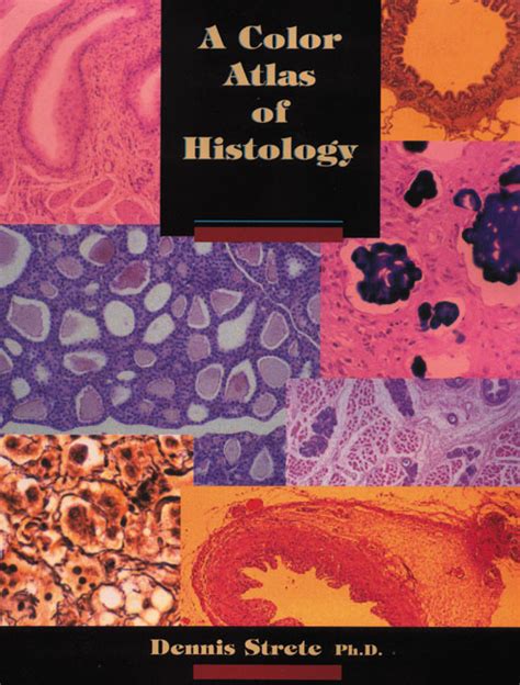 Pearson Education Color Atlas Of Histology A