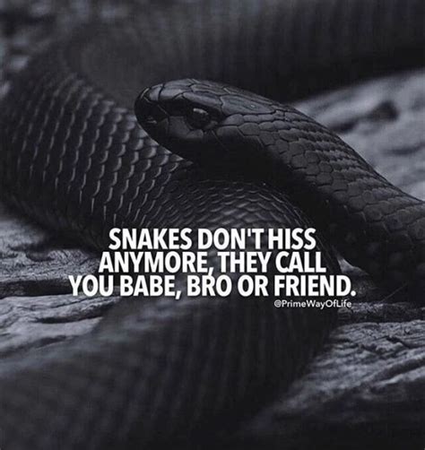 Collection 27 Snakes Quotes And Sayings With Images