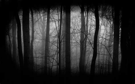 29 Dark Forest With Moon Wallpapers Wallpapersafari