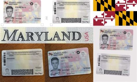 Fake Id Maryland Buy Fake Id Online