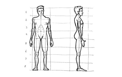 Cómo aprender a dibujar la Figura Humana y sus Proporciones