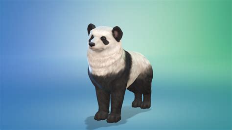 12 Animals Recreated In The Sims 4 Cats And Dogs