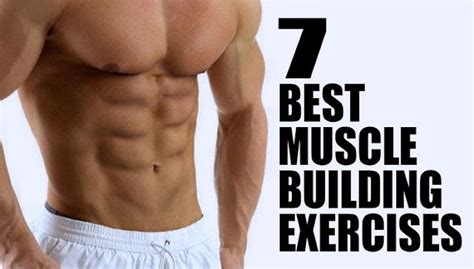 7 Great Build Muscle Exercises Bodydulding