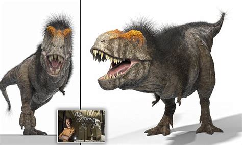 T Rex May Have Had Tufty Hair And Orange Eyebrows Daily Mail Online