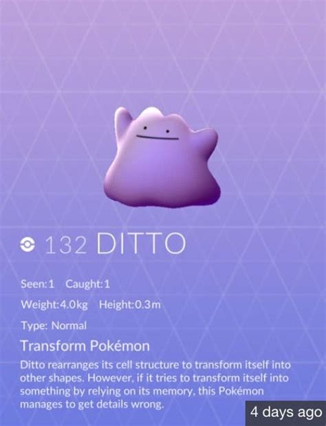 The Zorua And Ditto Theory Pokémon Amino