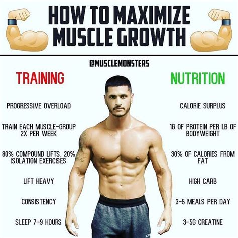 How To Increase My Muscle Size