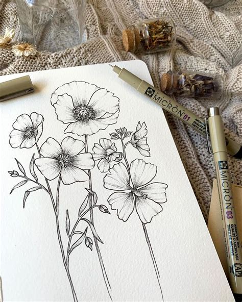 Sarah Botanical Artist On Instagram Some Wildflowers For You All