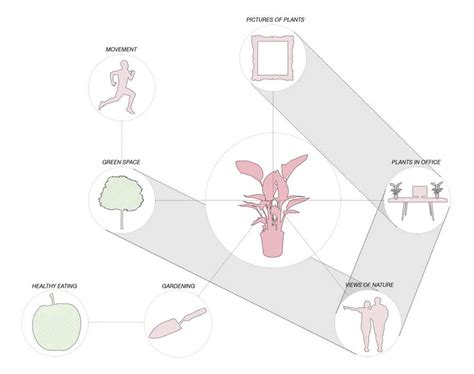 Biophilic Design Diagram