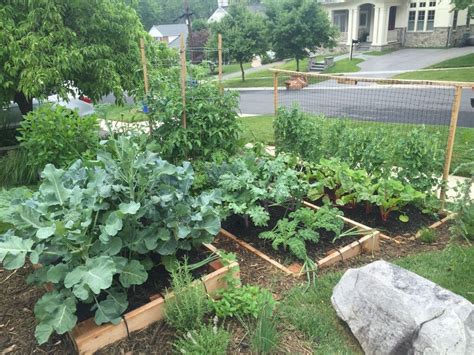 Food Garden Terraced Vegetable Garden Vegetable Garden Design