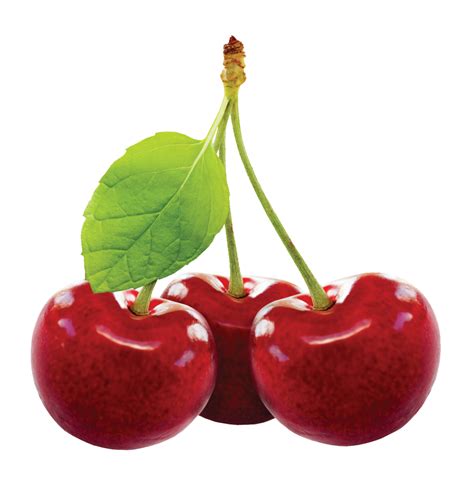 Cherry Fruit Png Image Png Mart