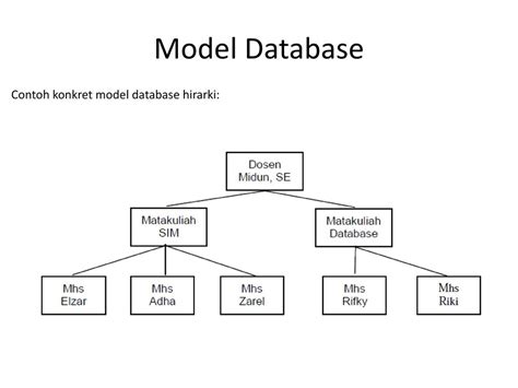 Says Contoh Model Database Hirarki Hierarchical Datab