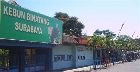 Pada hari minggu lala jalan jalan ke kebun binatang ragunan alias jakarta zoo. Surabaya Amazing: KEBUN BINATANG SURABAYA
