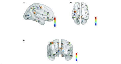 visualization of discriminative brain regions a cornal plane b download scientific