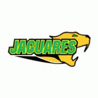 The lost land of the jaguar is a nature documentary by the bbc on guyana's fauna, including the jaguar. UR Jaguares Logo Vector (.AI) Free Download