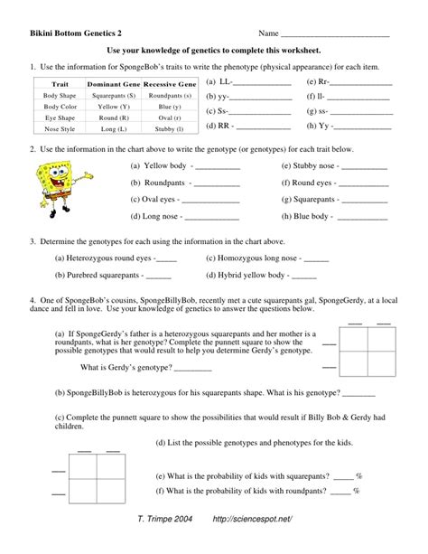 Use the information for spongebob's traits to write the phenotype (physical appearance) for each item. 15 Best Images of Genetic Punnett Squares Worksheets ...