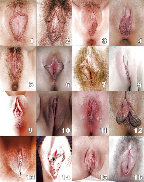 See And Save As Whats Your Favorite Type Of Pussy Porn Pict Crot