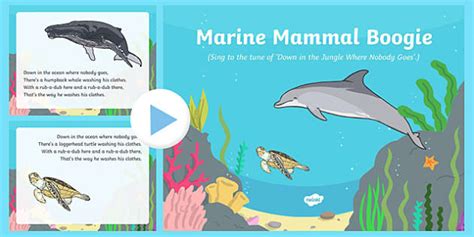 Marine Mammal Boogie Song Powerpoint Teacher Made Twinkl