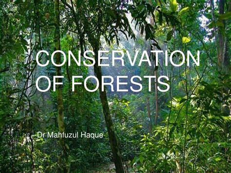 Ppt Conservation Of Forests Powerpoint Presentation Free Download