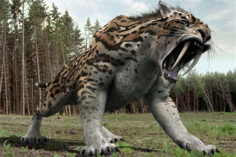 17 Terrifying Creatures Youre Glad Are Extinct Page 9
