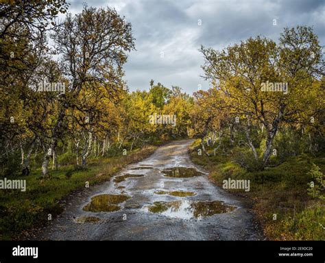 Roadside Path Pathway Hi Res Stock Photography And Images Alamy