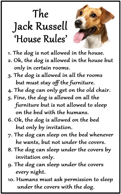 Jack Russell Terrier Dog T Large House Rules Magnet 6″ X 4″ Car