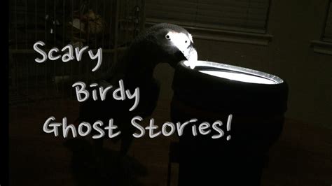 Einsteins Scary Birdie Ghost Stories 👻 Halloween 2014 Youtube