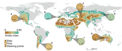 Grazing And Ecosystem Service Delivery In Global Drylands Science