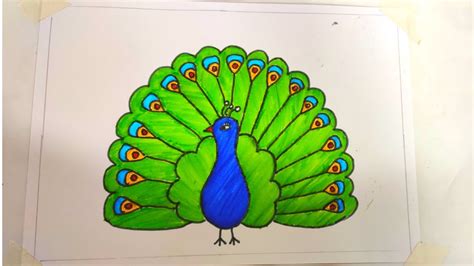 मर क चतर आसन स बनन सख How to draw a Peacock Peacock Easy Draw Tutorial YouTube