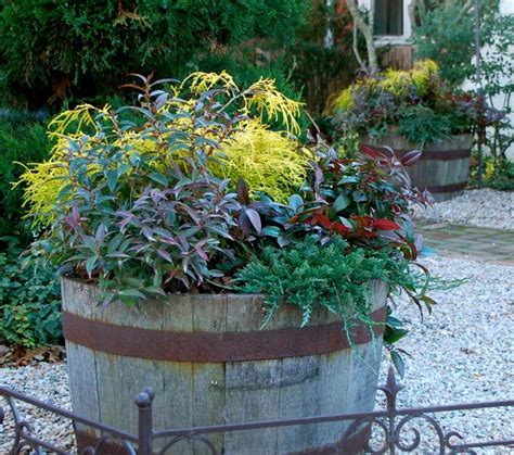 7 Ways To Get Your Container Garden Ready For Winter Winter Planter