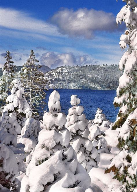 Snowy Morning Lake Tahoe
