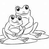 Coloring Frogs Frog Para sketch template