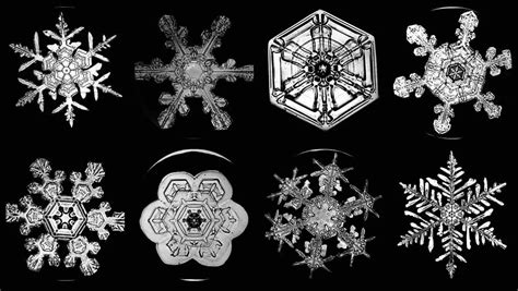 Look At Snowflakes Under The Microscope Rs Science