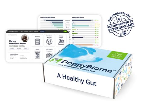 Animalbiome Gut Health Test Gut Microbiome Test Holistic Healthcare