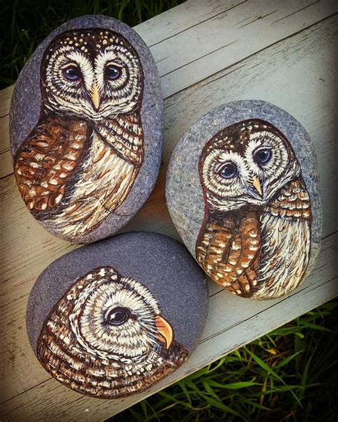 Owl Painted Rocks Rock Painting Patterns Rock Painting Ideas Easy