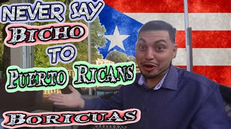 Never Say Bicho To Puerto Ricans Boricuas Youtube