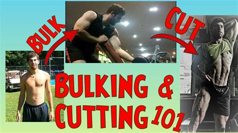 Bulking And Cutting 101 Everything You Need To Know Youtube