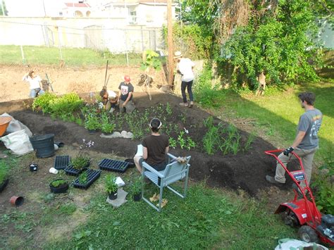 Rain barrels and cisterns are becoming more common all of the time, and now more and more folks are creating rain gardens to capture the rainfall that would otherwise wash down their gutters, driveways and streets. Your Backyard: A Stormwater Sponge • The National Wildlife ...