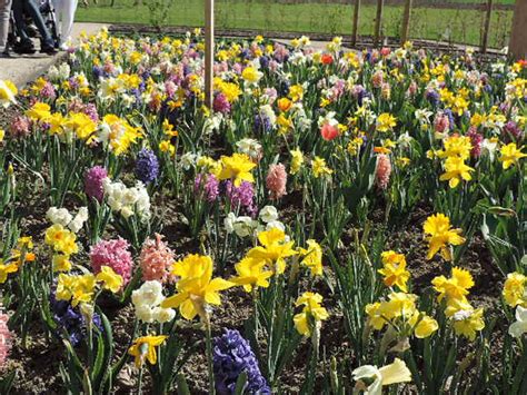 Der offene mittagstisch und der cafébetrieb sind für geimpfte, genesene und negativ getestete geöffnet. Frühlingserwachen | Garten Eden Untermarchtal