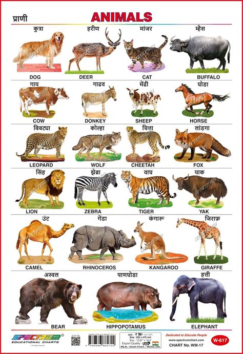 Top 124 Animals Name In Marathi To English