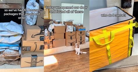 A Woman Received 41 Amazon Packages That She Didnt Order Twistedsifter