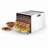Images of 10 Tray Stainless Steel Dehydrator