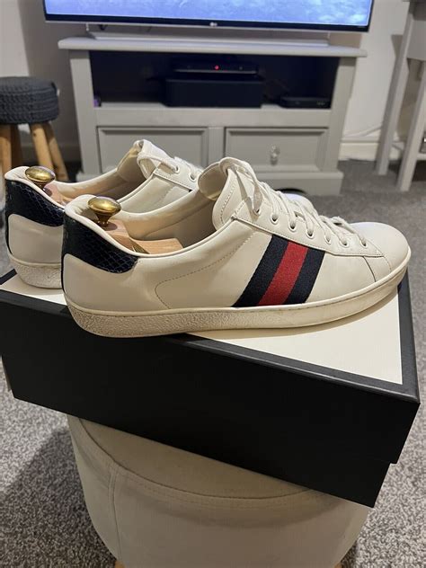 Gucci Ace Trainers 12 Ebay