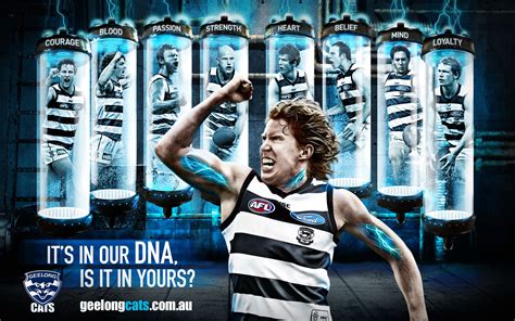 Geelong Cats 2021 Wallpapers Wallpaper Cave