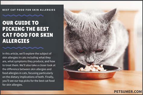 9 Best Highest Quality Cat Foods For Skin Allergies