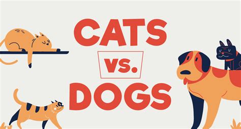 Cats Vs Dogs Which Does The World Prefer Insurance Solved Blog